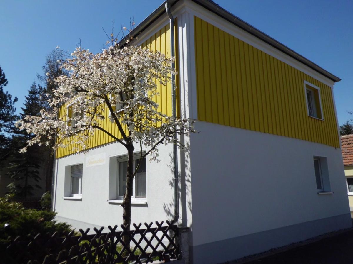 Ferienwohnung Im Haus Sonnenschein Beim Senftenberger See Hosena Экстерьер фото
